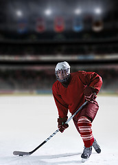 Image showing ice hockey player in action