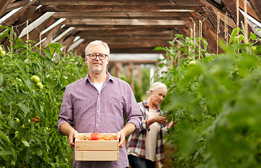 Image showing old couple with box of tomatoes at farm greenhouse