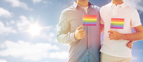 Image showing close up of male gay couple holding rainbow flags