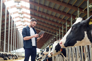 Image showing young man with tablet pc and cows on dairy farm