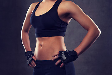 Image showing close up of young woman body in gym