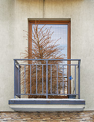 Image showing Dead dry christmas tree