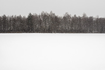 Image showing Frozen lake in winter