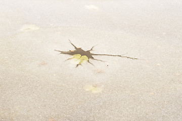 Image showing cracked ice on the pond