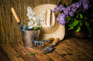 Image showing Gardening tools and a branch of a blossoming white lilac