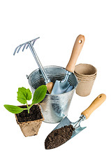 Image showing Garden tools for planting, isolated on white