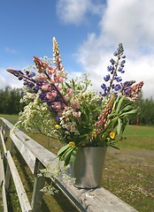 Image showing Wild flowers