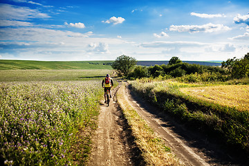 Image showing young bright man on mountain bike