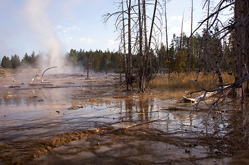 Image showing Yellowstone National Park, Utah, USA