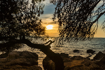 Image showing Zadar, Dalmatia, Croatia