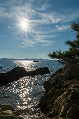 Image showing Zadar, Dalmatia, Croatia