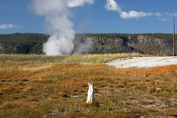 Image showing Yellowstone National Park, Utah, USA