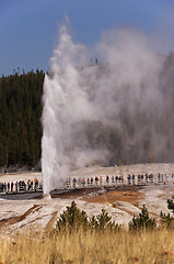 Image showing Yellowstone National Park, Utah, USA