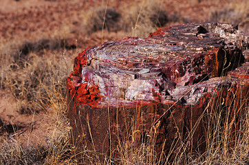 Image showing Petrified-Forest-National-Park, Arizona, USA