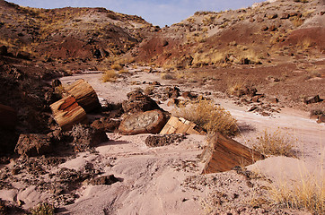 Image showing Petrified-Forest-National-Park, Arizona, USA