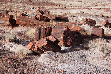 Image showing Petrified-Forest-National-Park, Arizona, USA