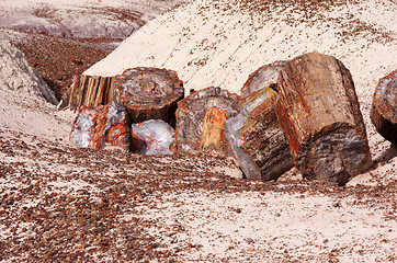 Image showing Petrified-Forest-National-Park, Arizona, USA