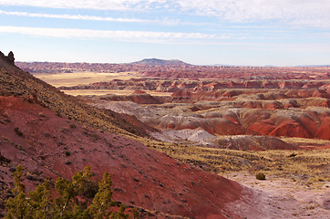 Image showing Petrified-Forest-National-Park, Arizona, USA