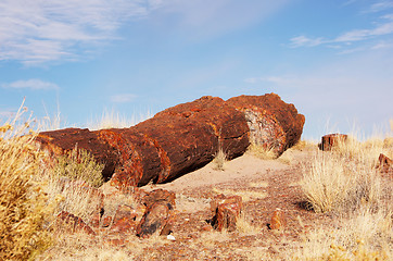 Image showing Petrified-Forest-National-Park, Arizona, USA