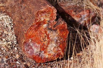 Image showing Petrified-Forest-National-Park, Arizona, USA