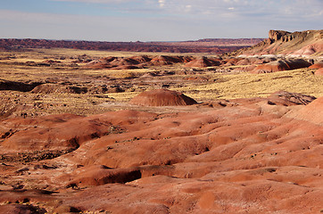 Image showing Petrified-Forest-National-Park, Arizona, USA