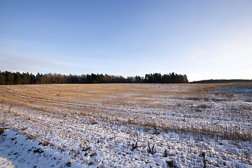 Image showing snow-covered field, winter