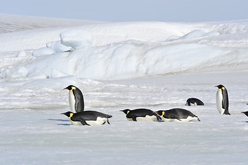 Image showing Beautiful view of icebergs Snow Hill Antarctica