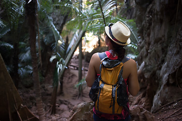 Image showing Girl among thickets of palms