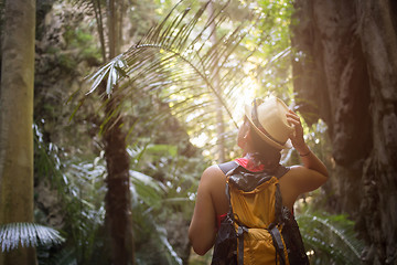 Image showing Woman among thickets of palms