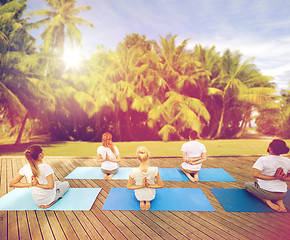 Image showing group of people making yoga exercises outdoors