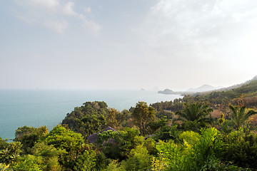 Image showing forest and ocean landscape on sri lanka