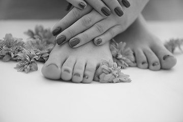 Image showing female feet and hands at spa salon