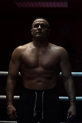 Image showing portrait of muscular professional kickboxer