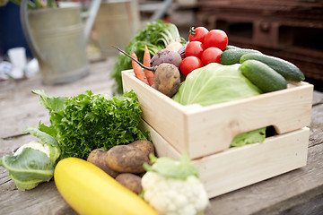 Image showing close up of vegetables on farm