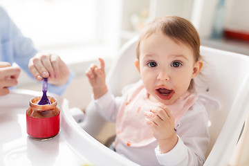 Image showing mother feeding baby with puree at home