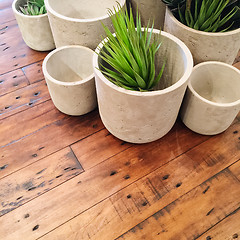 Image showing Decorative plants in concrete pots on old wooden table