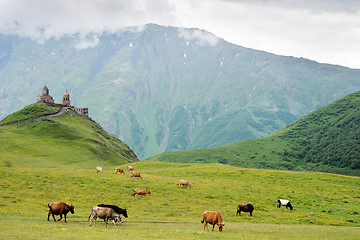 Image showing Trinity Church in Gergeti