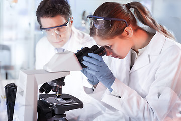 Image showing Life scientist researching in the laboratory.