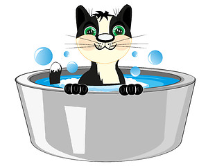 Image showing Cat is washed in basin