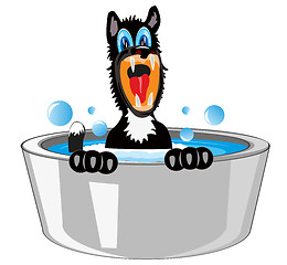 Image showing Dog is washed in basin