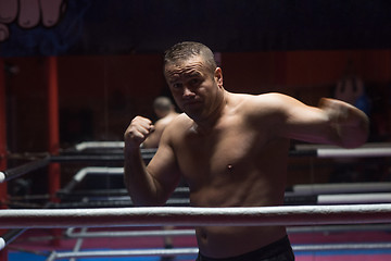 Image showing professional kickboxer in the training ring