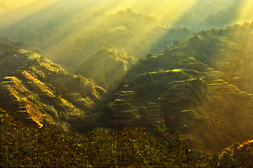 Image showing Banaue Rice Terraces