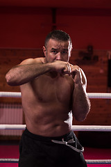 Image showing professional kickboxer in the training ring