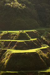 Image showing Banaue Rice Terraces