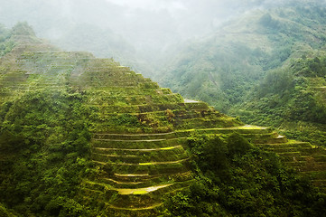 Image showing Banaue Rice Terraces