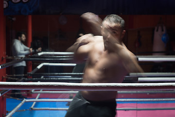 Image showing professional kickboxer in the training ring