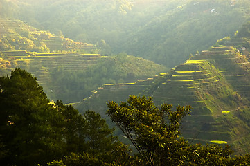 Image showing Banaue Sunrise