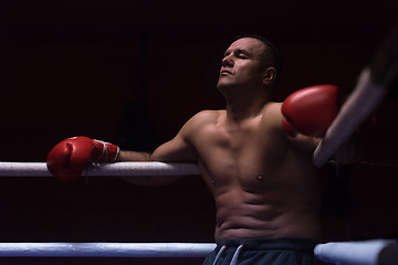 Image showing kick boxer resting on the ropes in the corner