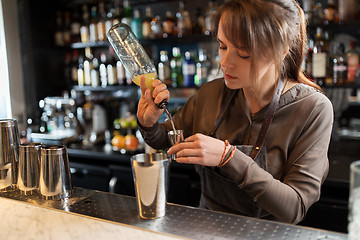 Image showing barmaid with shaker preparing cocktail at bar