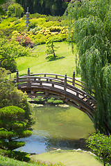 Image showing Beautiful Japanese Garden with Pond and Bridge.